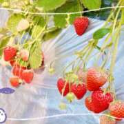 ヒメ日記 2025/03/04 22:18 投稿 りん 大宮HANDS(ハンズ)（ユメオト）