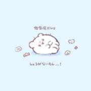 ヒメ日記 2025/10/10 22:21 投稿 なこ リニューアル