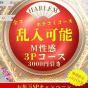 ヒメ日記 2025/01/02 12:01 投稿 えりか 五反田アンジェリーク