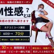 ヒメ日記 2025/04/17 12:06 投稿 えりか 五反田アンジェリーク