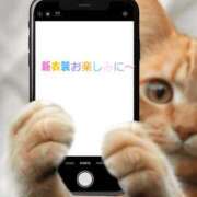 ヒメ日記 2025/11/19 18:36 投稿 ろん パンドラ(上野)