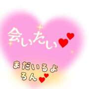 ヒメ日記 2025/11/19 20:49 投稿 ろん パンドラ(上野)