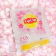 ヒメ日記 2025/10/25 15:09 投稿 本田 絆 人妻セレブ宮殿