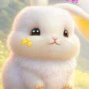 ヒメ日記 2025/11/25 15:06 投稿 本田 絆 人妻セレブ宮殿