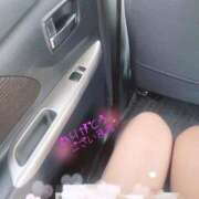 ヒメ日記 2025/12/15 20:11 投稿 本田 絆 人妻セレブ宮殿