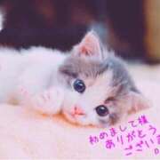 ヒメ日記 2026/04/06 22:17 投稿 本田 絆 人妻セレブ宮殿