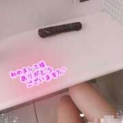 本田 絆 初めましてで💓 人妻セレブ宮殿