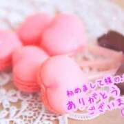 ヒメ日記 2026/07/15 15:07 投稿 本田 絆 人妻セレブ宮殿