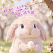 ヒメ日記 2026/08/16 13:05 投稿 本田 絆 人妻セレブ宮殿