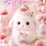 本田 絆 お礼です🎀 人妻セレブ宮殿