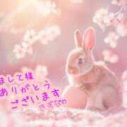 ヒメ日記 2026/09/30 22:40 投稿 本田 絆 人妻セレブ宮殿