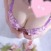 めるる 🌟雨宿りに 激安ドットコム