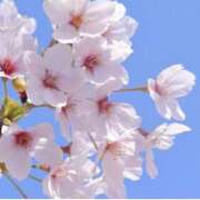 ヒメ日記 2025/04/09 10:33 投稿 なつき パンドラ(上野)