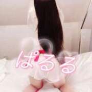 ヒメ日記 2024/12/11 14:24 投稿 潮崎ぱるる 全裸の極みorドッキング痴漢電車