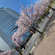 ヒメ日記 2025/04/08 15:28 投稿 まより 熟女の風俗最終章 高崎店