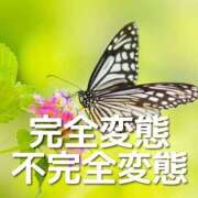 ヒメ日記 2025/06/08 02:48 投稿 ほのか『ぽっちゃりコース』 素人学園＠