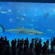 ヒメ日記 2025/11/08 22:33 投稿 ほのか『ぽっちゃりコース』 素人学園＠