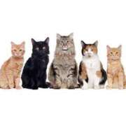 ヒメ日記 2025/02/22 12:09 投稿 沢村 熟女の風俗最終章 新横浜店