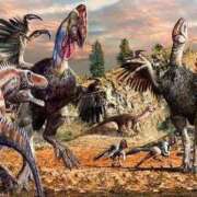 ヒメ日記 2025/04/17 17:26 投稿 沢村 熟女の風俗最終章 新横浜店