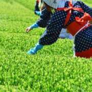 ヒメ日記 2025/05/01 16:56 投稿 沢村 熟女の風俗最終章 新横浜店