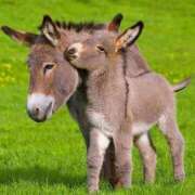 ヒメ日記 2025/05/08 14:07 投稿 沢村 熟女の風俗最終章 新横浜店