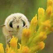 ヒメ日記 2025/06/04 12:47 投稿 沢村 熟女の風俗最終章 新横浜店