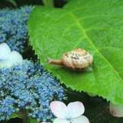 ヒメ日記 2025/06/25 14:36 投稿 沢村 熟女の風俗最終章 新横浜店