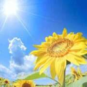 ヒメ日記 2025/07/23 15:07 投稿 沢村 熟女の風俗最終章 新横浜店