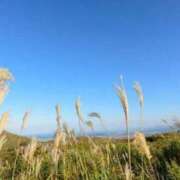 ヒメ日記 2025/08/23 14:16 投稿 沢村 熟女の風俗最終章 新横浜店