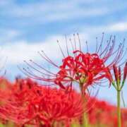 ヒメ日記 2025/09/20 14:46 投稿 沢村 熟女の風俗最終章 新横浜店