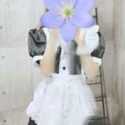 ヒメ日記 2025/11/25 19:56 投稿 沢村 熟女の風俗最終章 新横浜店