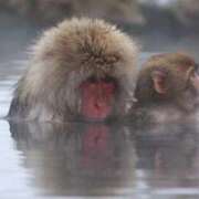 ヒメ日記 2025/11/26 14:16 投稿 沢村 熟女の風俗最終章 新横浜店