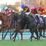 ヒメ日記 2026/01/05 14:56 投稿 沢村 熟女の風俗最終章 新横浜店