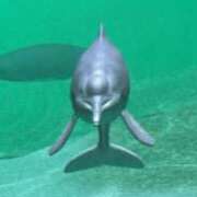 ヒメ日記 2025/01/16 11:30 投稿 音無ちなつ アロマファンタジー高輪