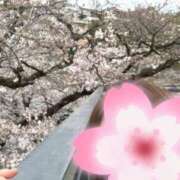 水野　まこ 目の高さに桜♡ アロマキュアシス 吉祥寺