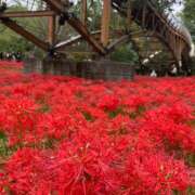 水野　まこ 本日は アロマキュアシス 吉祥寺