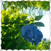 ヒメ日記 2025/06/18 19:49 投稿 みづき リニューアル