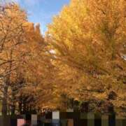 ヒメ日記 2025/11/25 15:09 投稿 なみ ココリラ吉祥寺・調布店