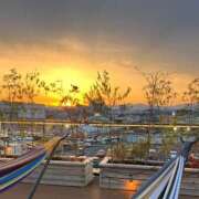 ヒメ日記 2026/02/16 14:54 投稿 なみ ココリラ吉祥寺・調布店