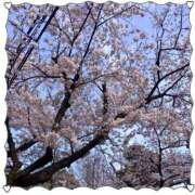 ヒメ日記 2025/04/11 18:45 投稿 みづき 制服向上委員会