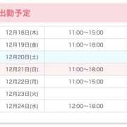 ヒメ日記 2025/12/18 12:10 投稿 みお 池袋添い寝女子