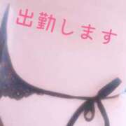 ヒメ日記 2025/03/21 11:33 投稿 つかさ 奥様メモリアル