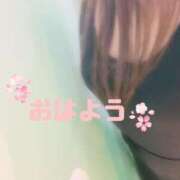 ヒメ日記 2025/04/05 09:27 投稿 つかさ 奥様メモリアル