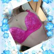 ヒメ日記 2024/12/18 09:18 投稿 さくら 奥様メモリアル