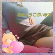 ヒメ日記 2025/01/22 09:45 投稿 さくら 奥様メモリアル