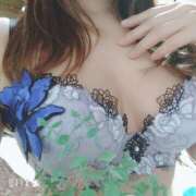 ヒメ日記 2025/02/08 18:18 投稿 さくら 奥様メモリアル