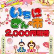 ヒメ日記 2025/03/01 10:33 投稿 さくら 奥様メモリアル