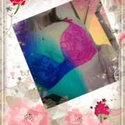 ヒメ日記 2025/03/11 11:27 投稿 さくら 奥様メモリアル