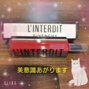 ヒメ日記 2025/03/28 10:33 投稿 さくら 奥様メモリアル