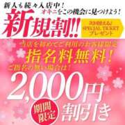 ヒメ日記 2025/04/04 17:18 投稿 さくら 奥様メモリアル
